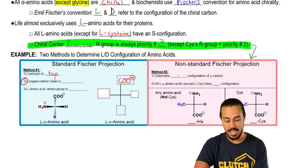 L & D Amino Acid Configurations