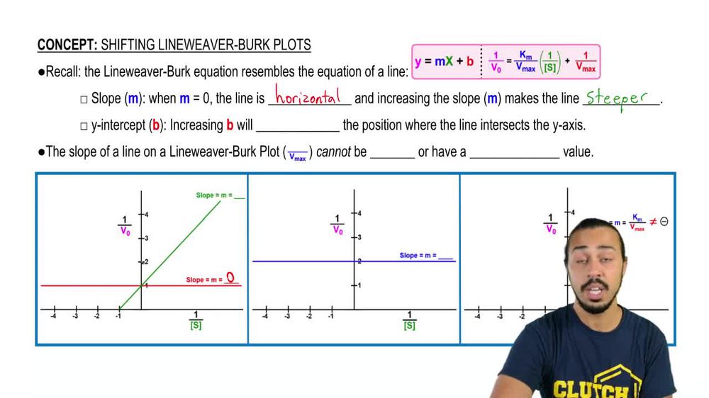 Shifting Lineweaver-Burk Plots