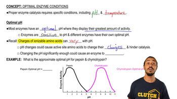 Optimal Enzyme Conditions