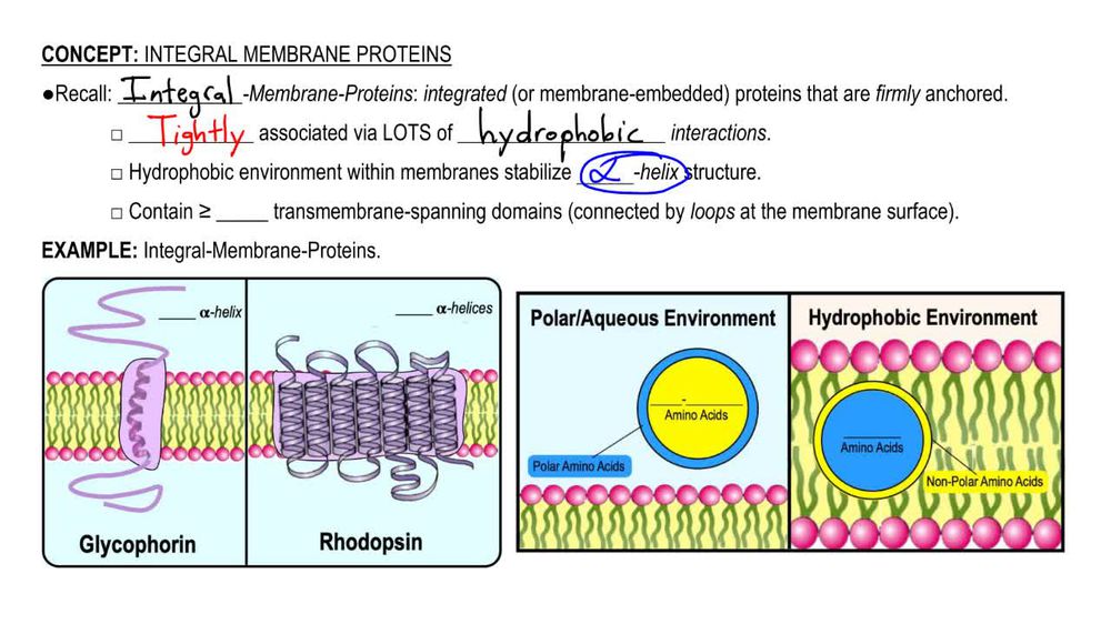 Integral Membrane Proteins 
