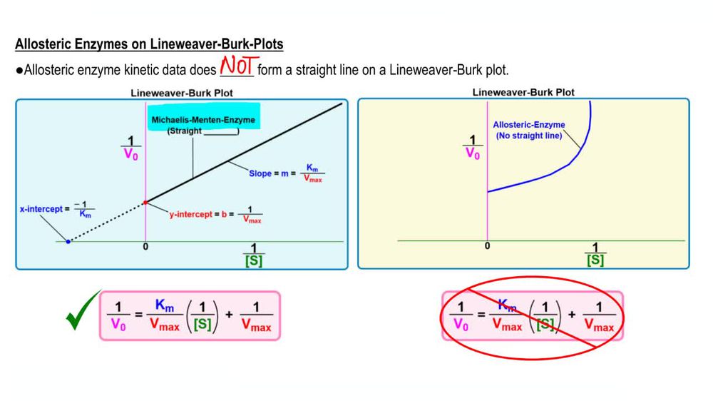 Allosteric Kinetics