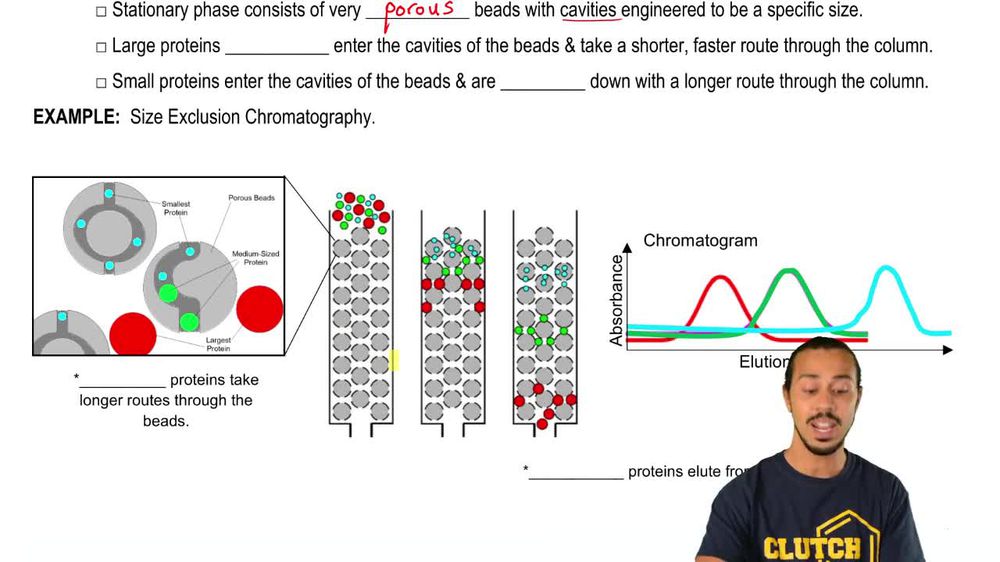 Size-Exclusion Chromatography