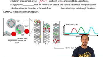 Size-Exclusion Chromatography