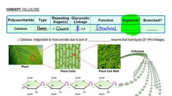 Cellulose