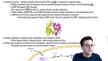 Biosignaling 4