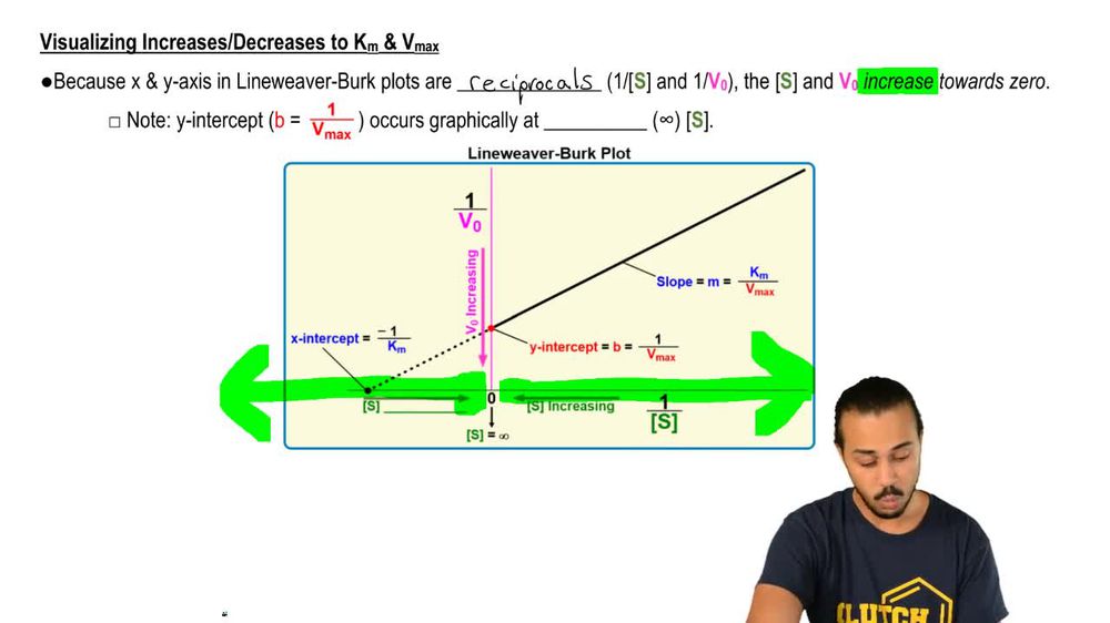 Shifting Lineweaver-Burk Plots