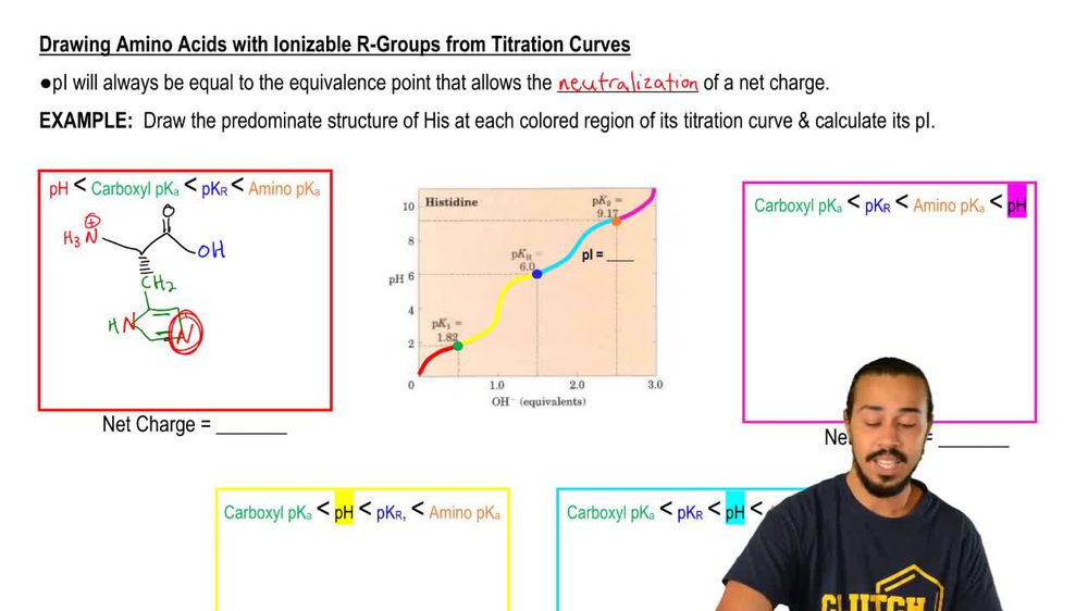 Titrations Of Amino Acids With Ionizable R-Groups