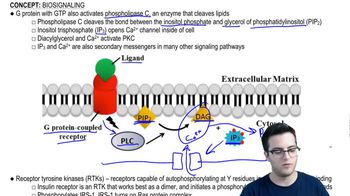 Biosignaling 3