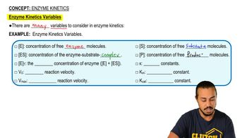 Enzyme Kinetics
