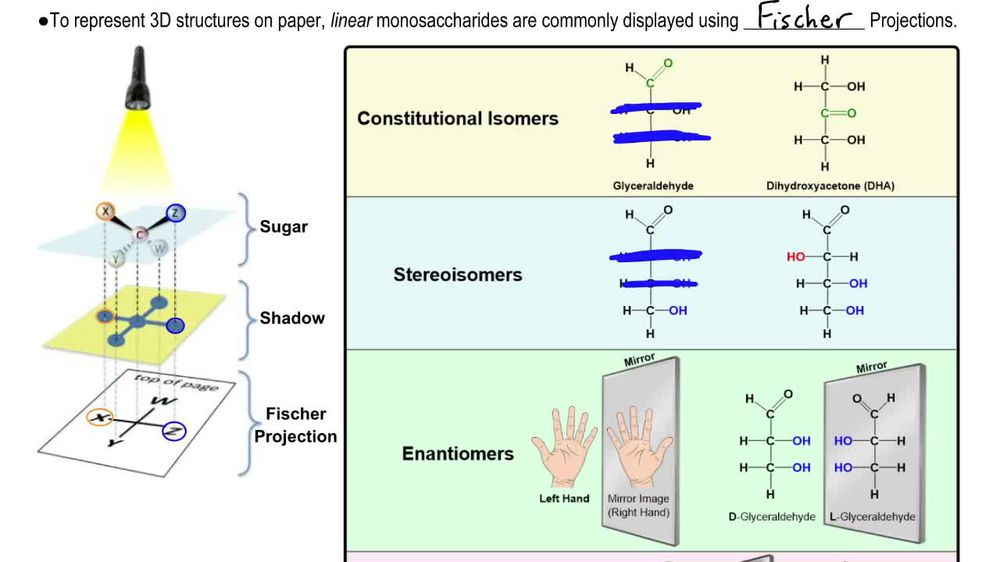 Stereochemistry of Monosaccharides