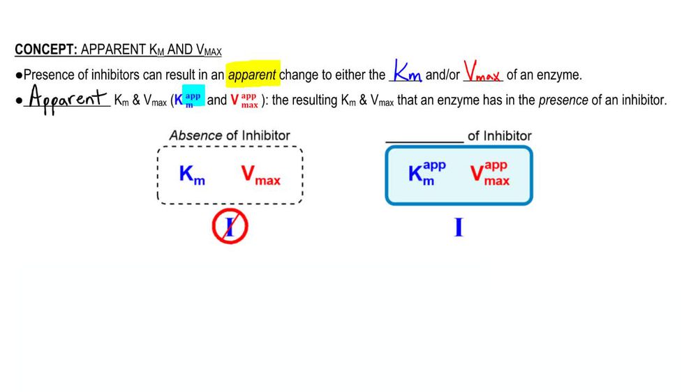 Apparent Km and Vmax