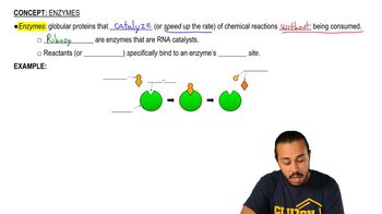Enzymes