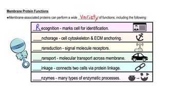 Types of Membrane Proteins