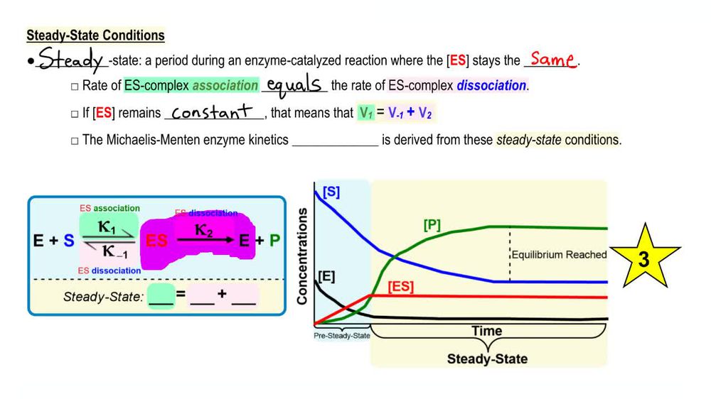 Steady-State Conditions