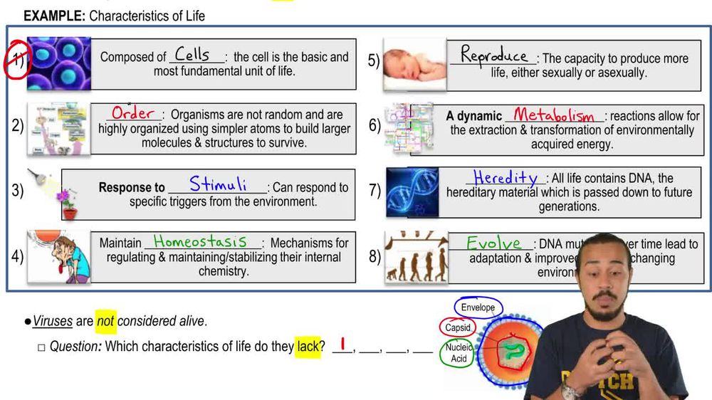 Characteristics of Viruses