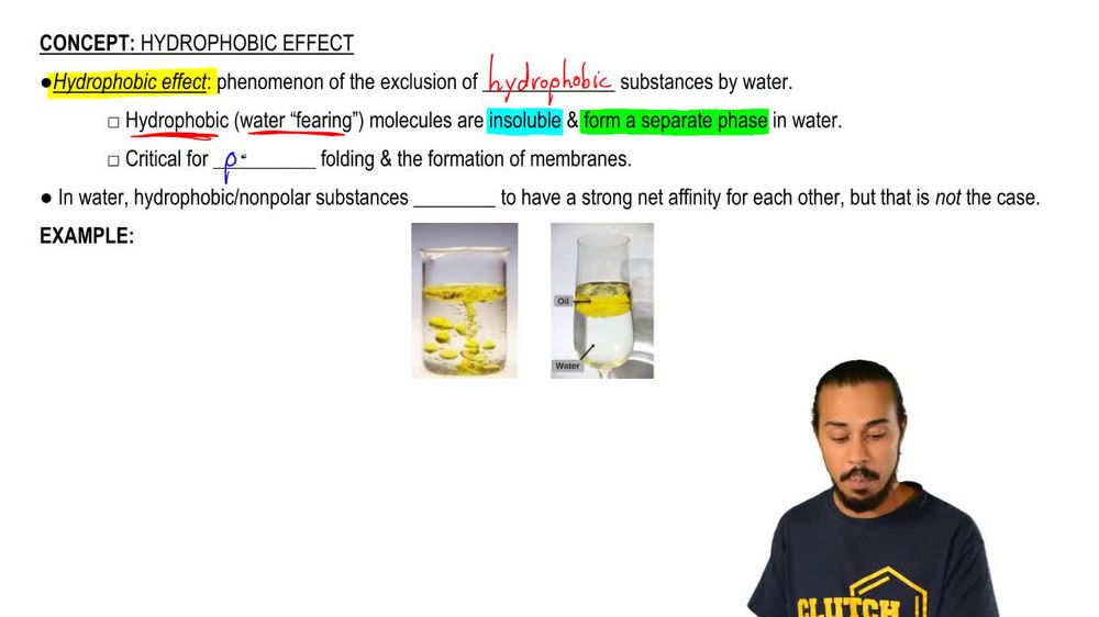 Intro to the Hydrophobic Effect