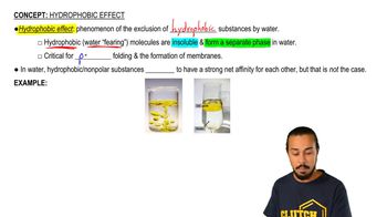 Intro to the Hydrophobic Effect