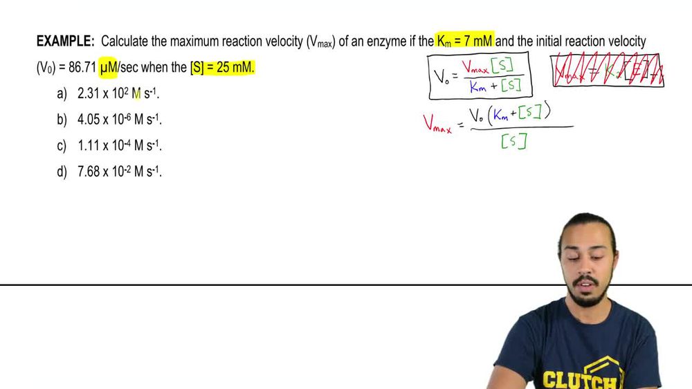 Calculating Vmax Example 1
