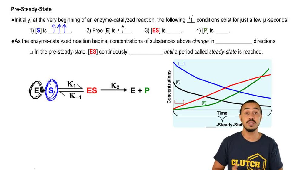 Steady-State Conditions