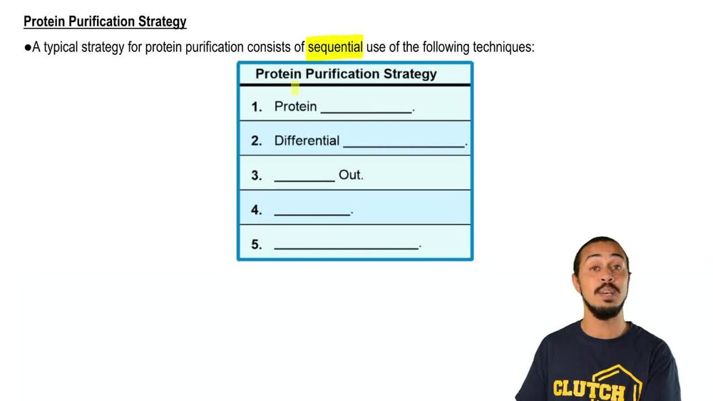 Protein Purification