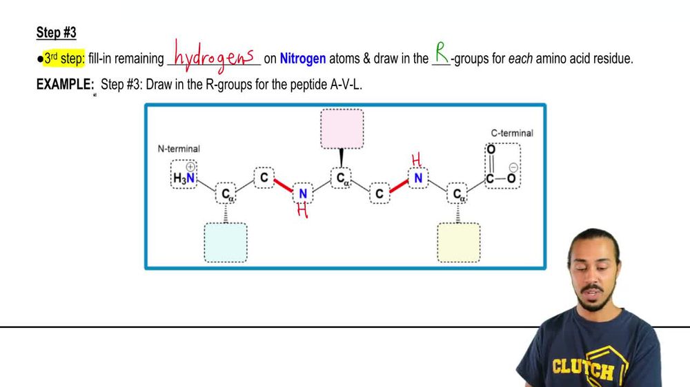 Drawing a Peptide