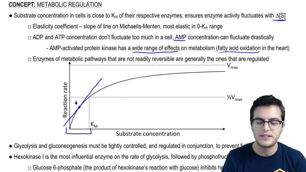 Metabolic Regulation 1