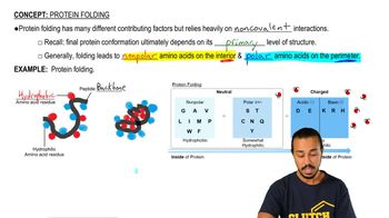 Protein Folding