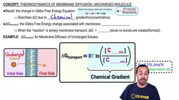 Thermodynamics of Membrane Diffusion: Uncharged Molecule 