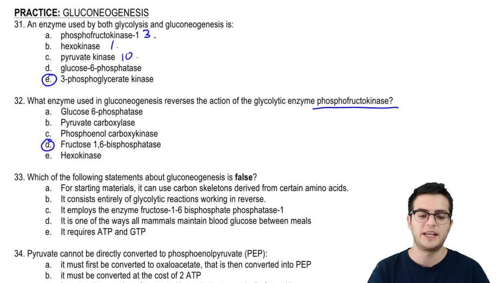 Practice - Gluconeogenesis