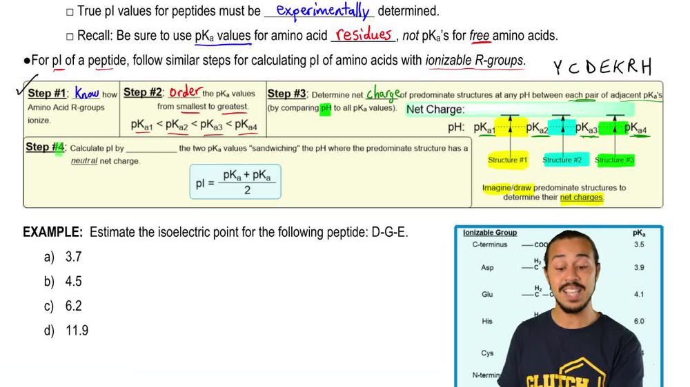Isoelectric Point of a Peptide