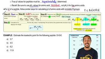 Isoelectric Point of a Peptide