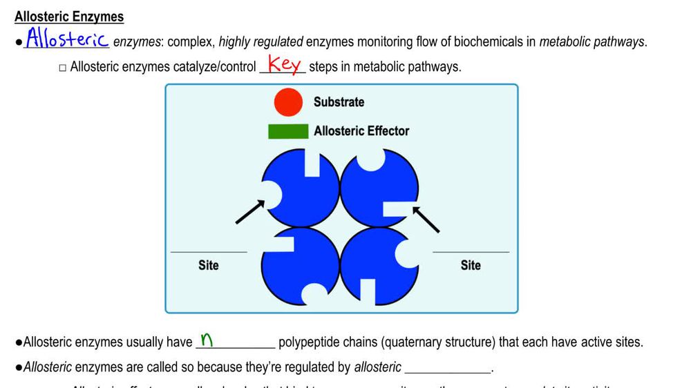 Allosteric Regulation