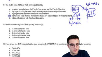 Nucleic Acids 3