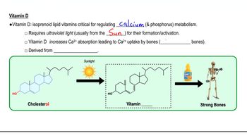 Lipid Vitamins