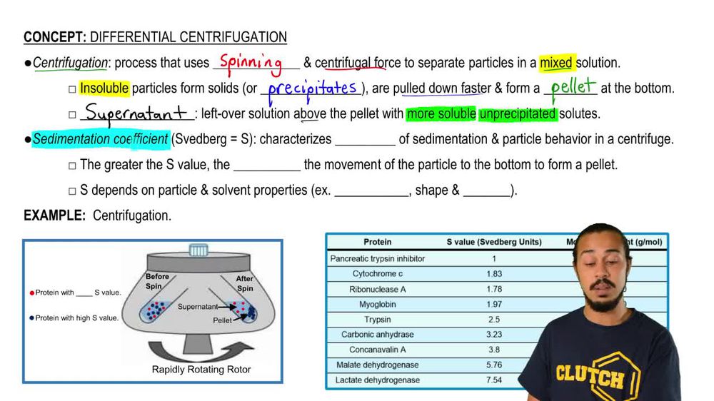 Differential Centrifugation