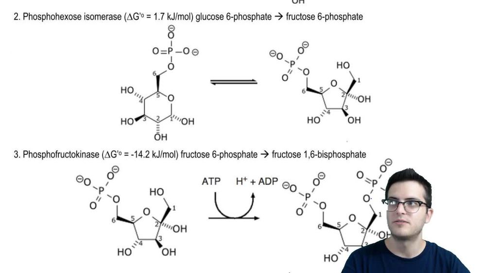 Glycolysis 2