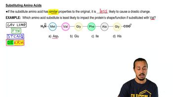 Altering Primary Protein Structure