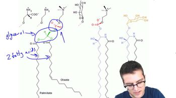 Lipids 2