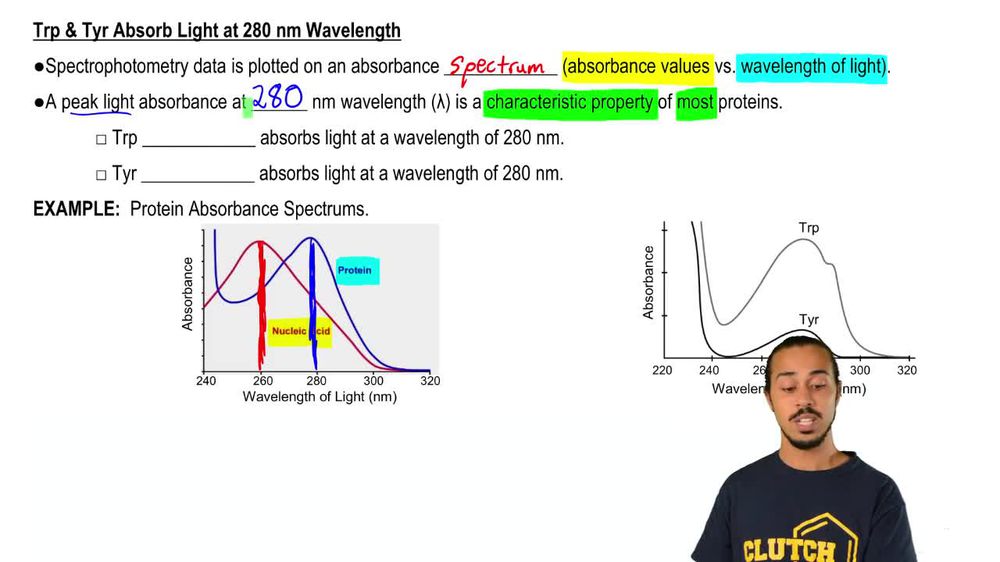 Spectrophotometry