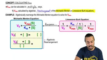 Calculating Vmax