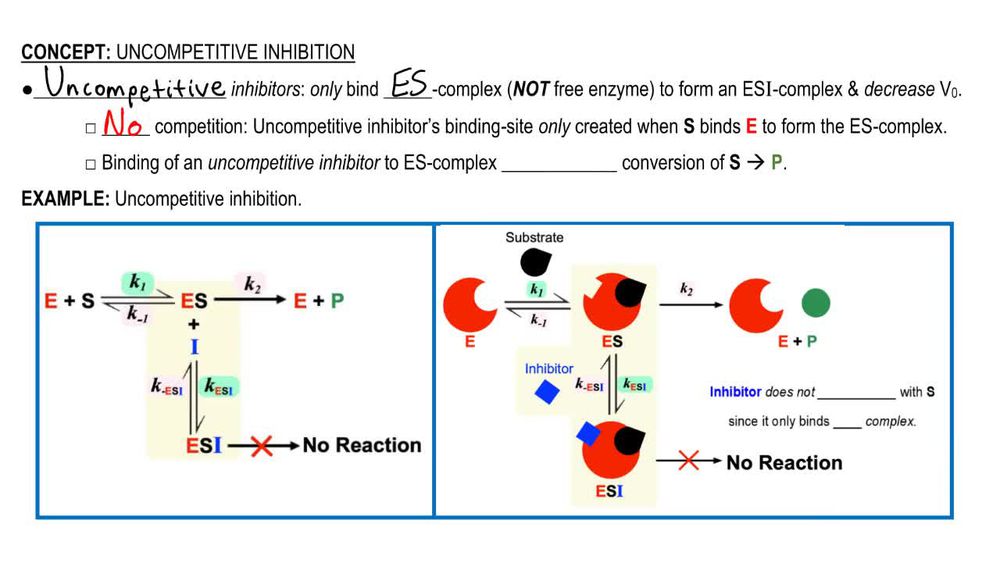 Uncompetitive Inhibition