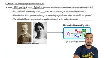 Michaelis-Menten Assumptions