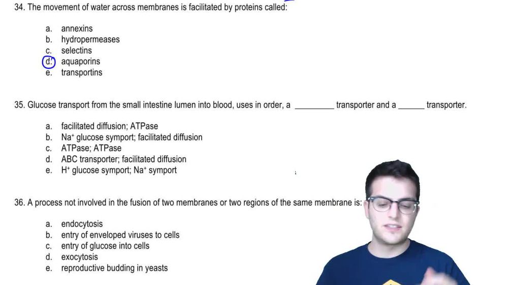 Practice - Membrane Transport 1