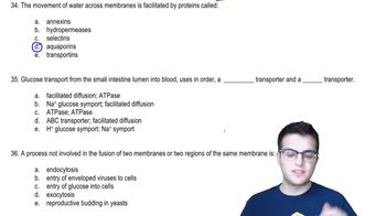 Practice - Membrane Transport 1