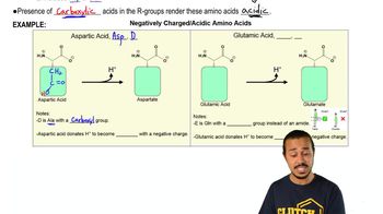 Charged Amino Acids