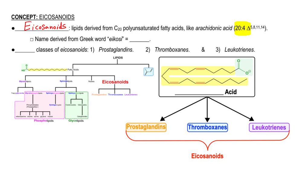 Eicosanoids