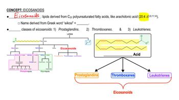 Eicosanoids