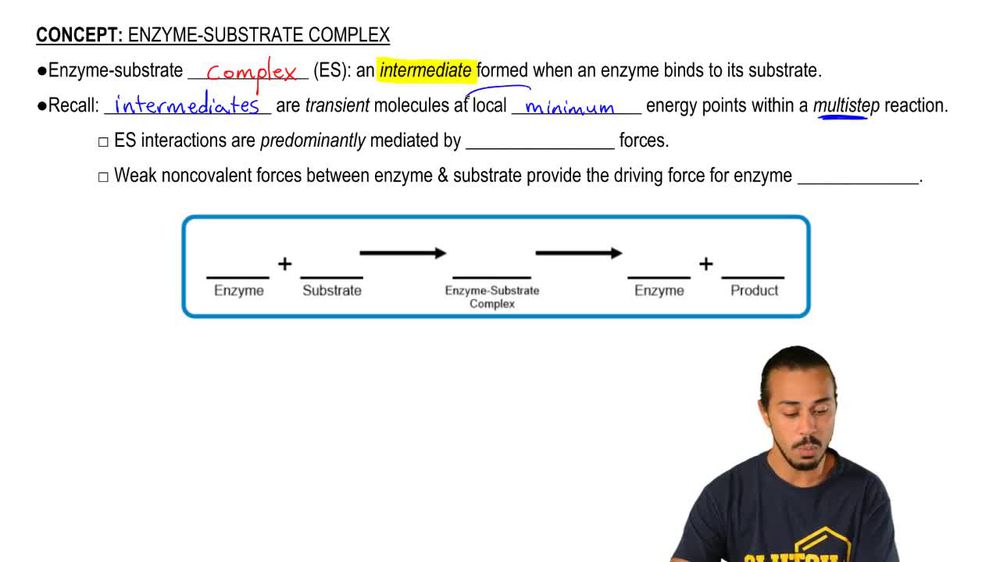Enzyme-Substrate Complex