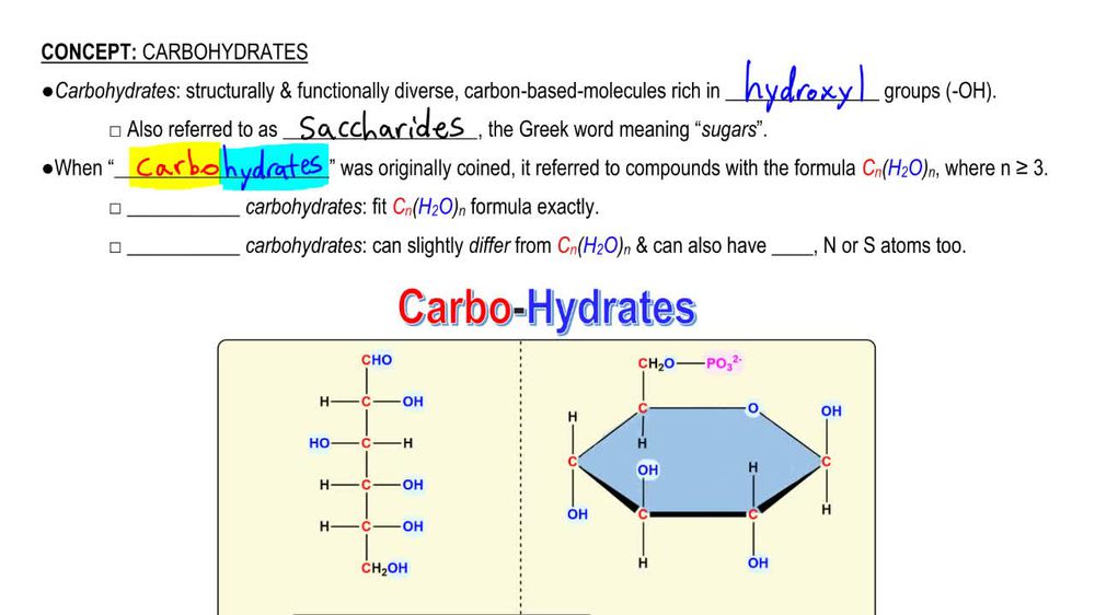 Carbohydrates
