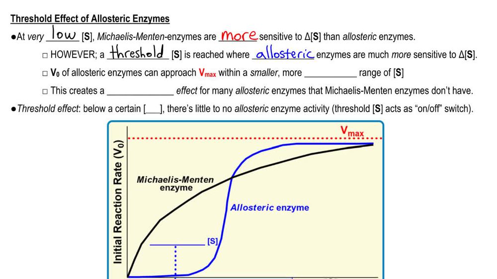 Allosteric Kinetics